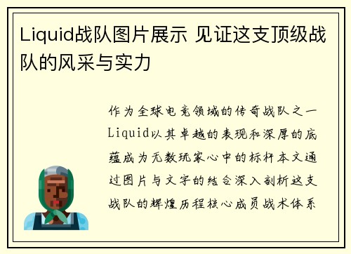 Liquid战队图片展示 见证这支顶级战队的风采与实力