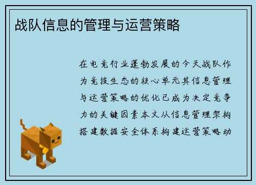 战队信息的管理与运营策略